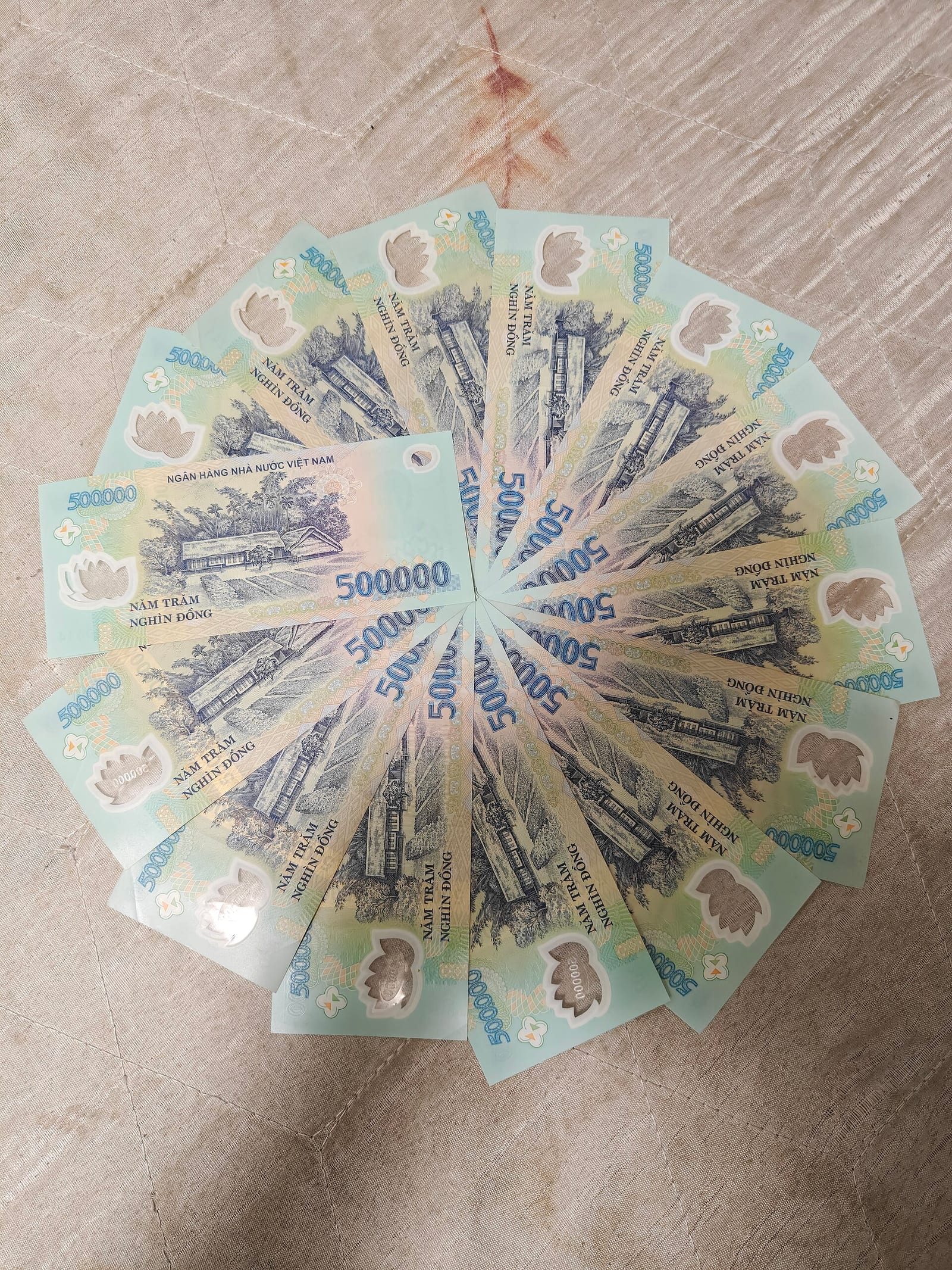 שטרות של 500,000 דונג וייטנאמי פרוסים במניפה